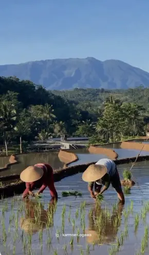 healing thailand capcut template